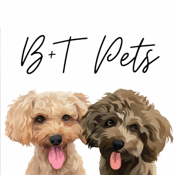 B+T Pets