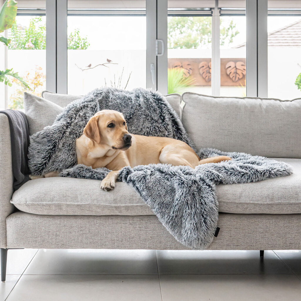 Superior Pets Calming Blanket Water Resistant - Dove Grey Large