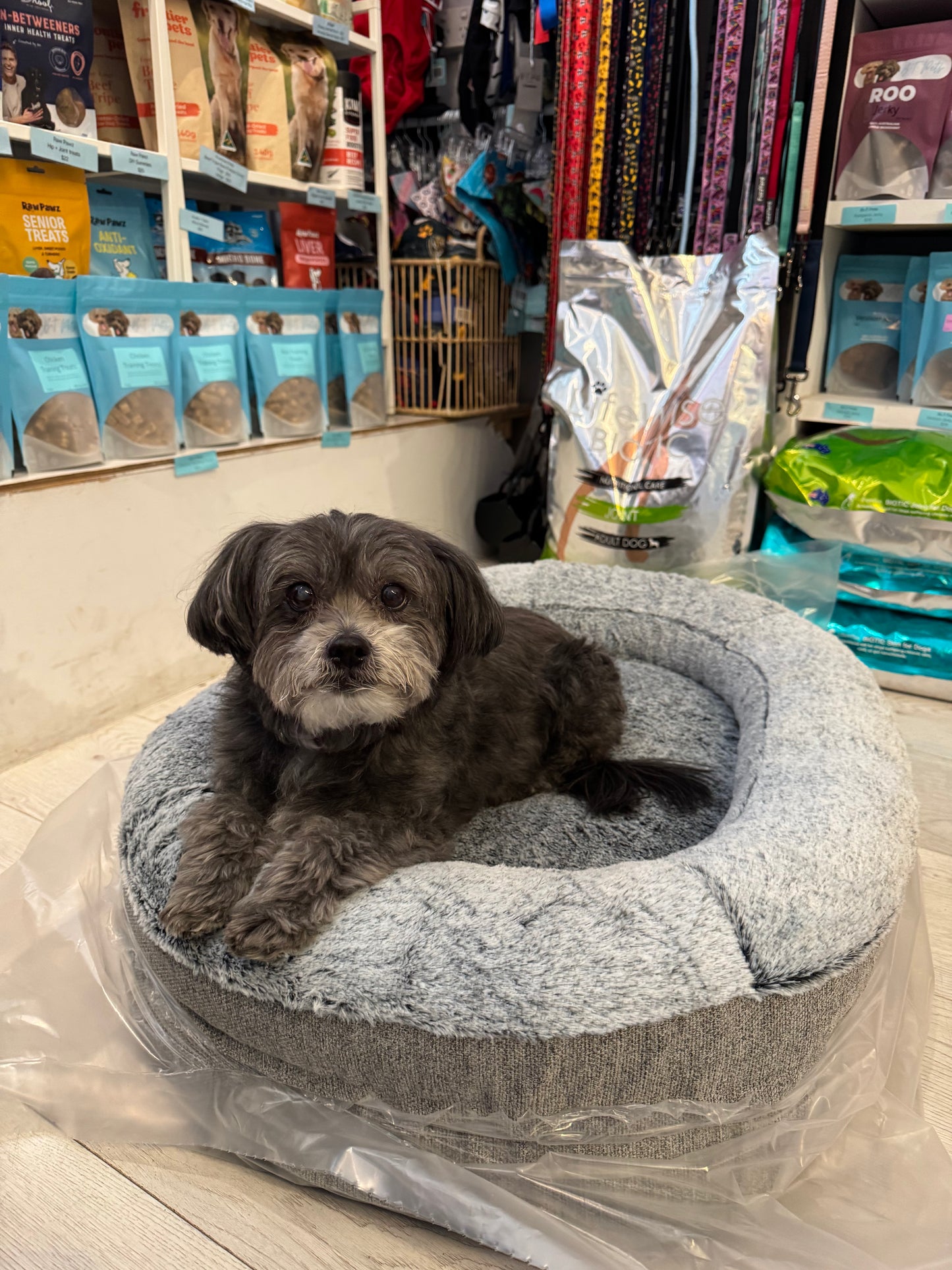 Superior Pets Ortho Memory Rest Harlow + Artic