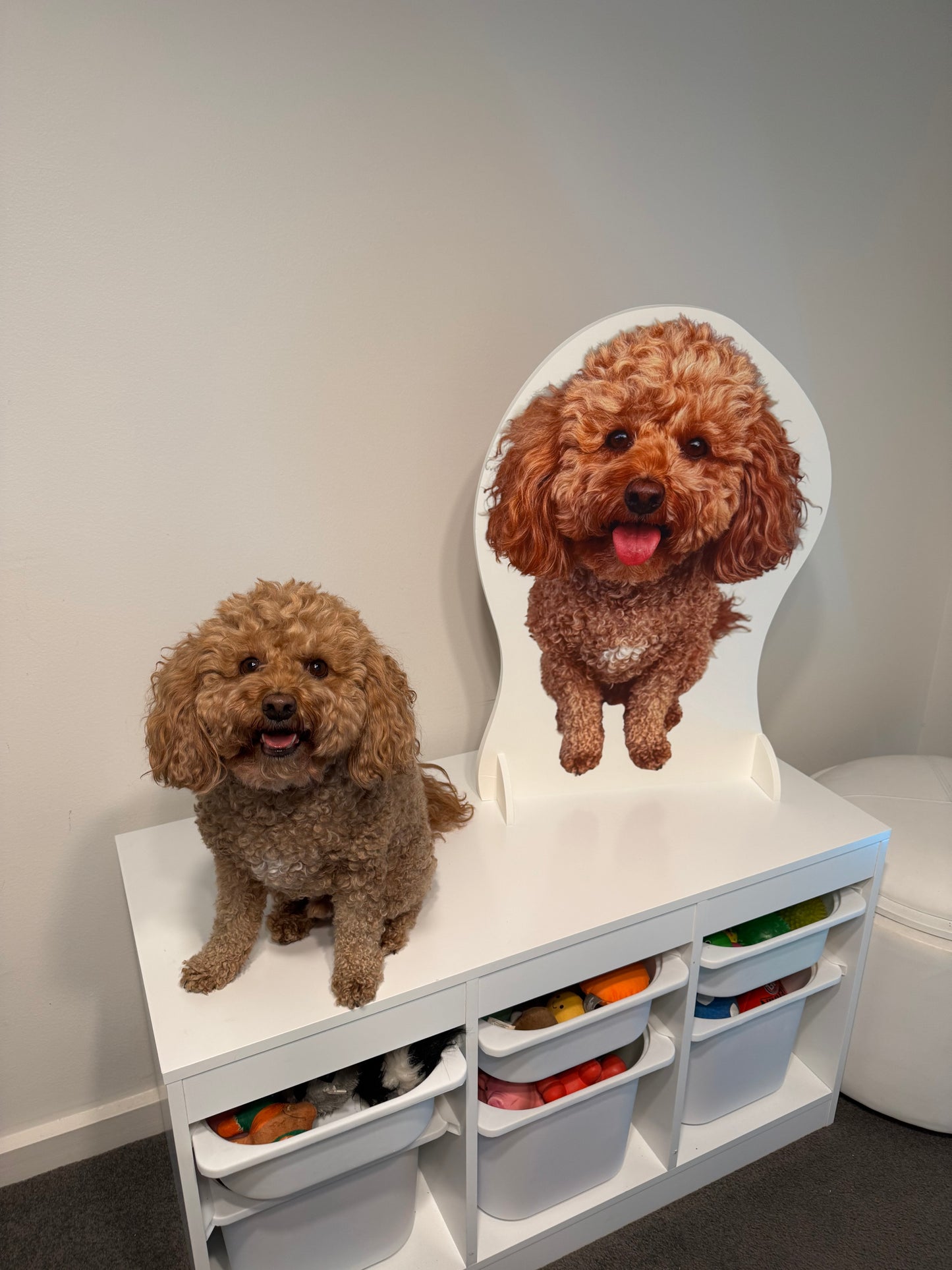 Custom Cardboard Pet Cutout