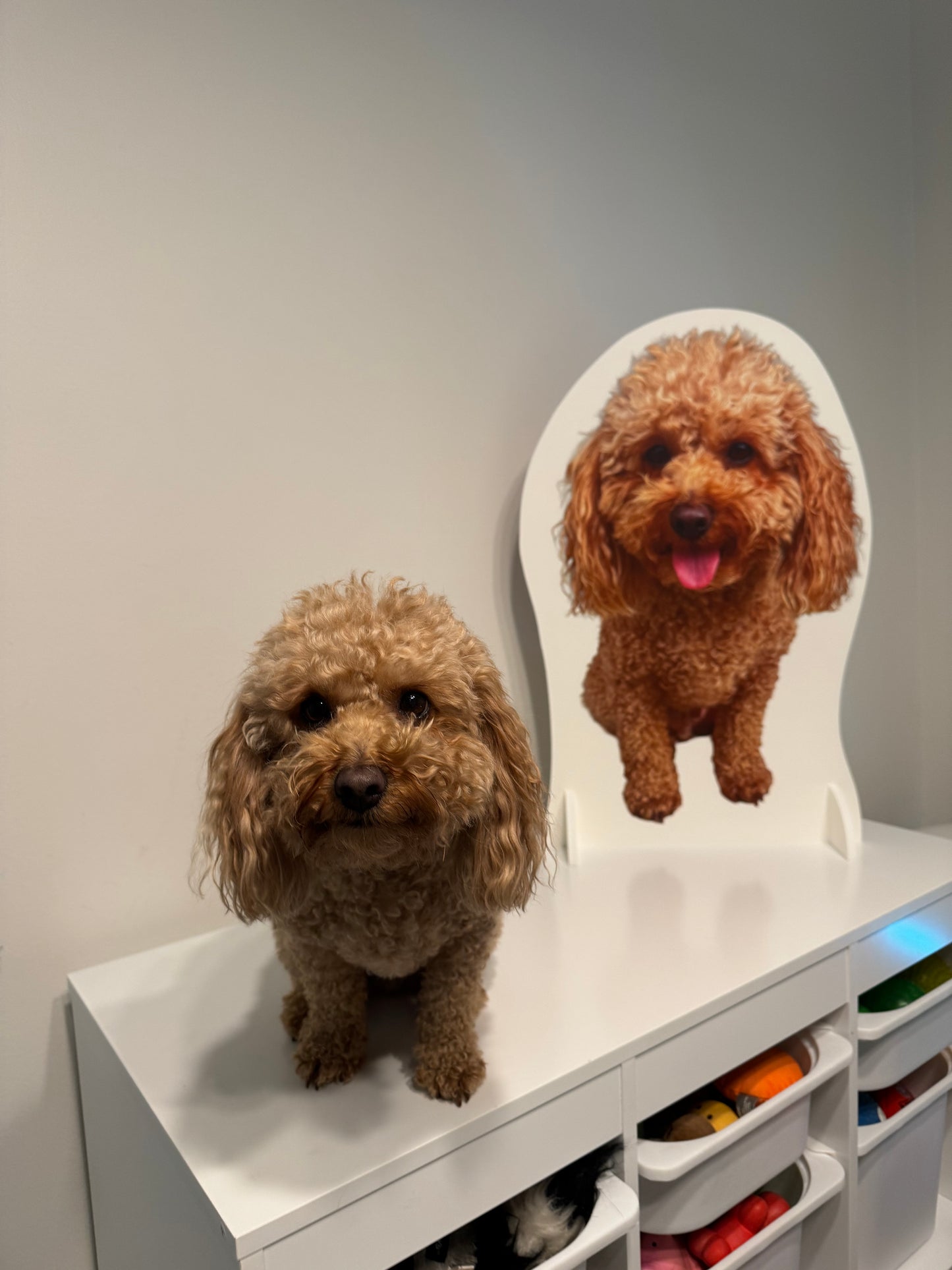 Custom Cardboard Pet Cutout