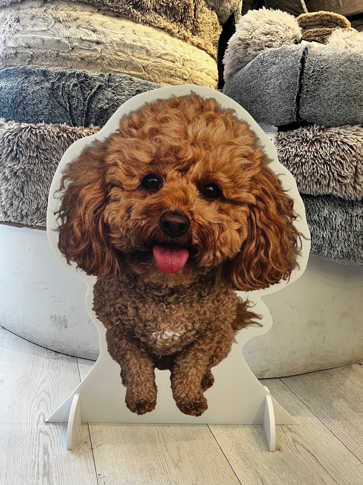 Custom Cardboard Pet Cutout