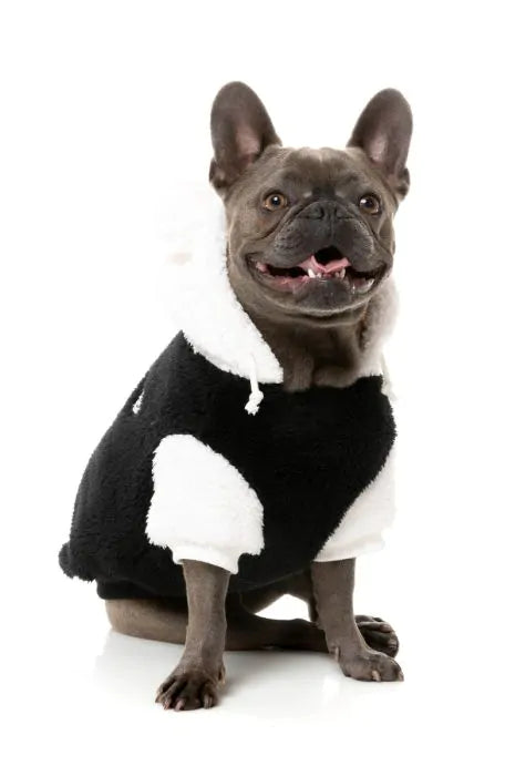 FuzzYard Winnie Hoodie Panda