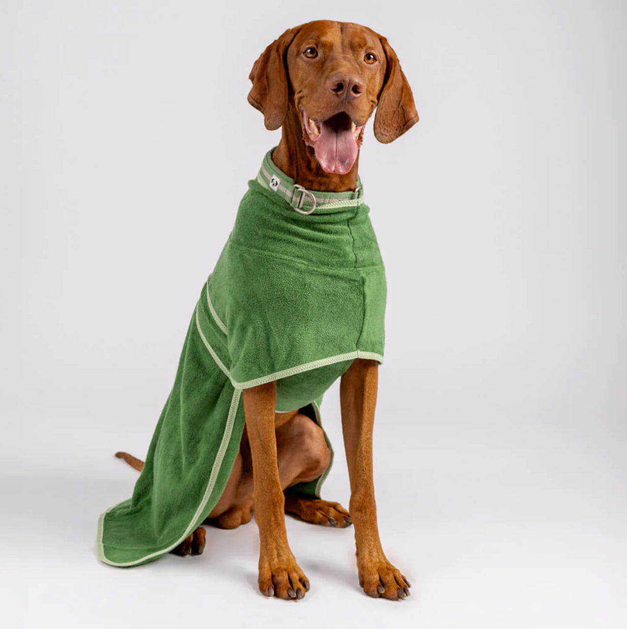Snoot Style Splish Splash Dog Drying Coat - Elm Green
