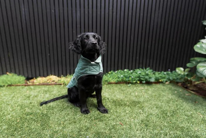 FuzzYard Life Wrap Vest MYRTLE GREEN