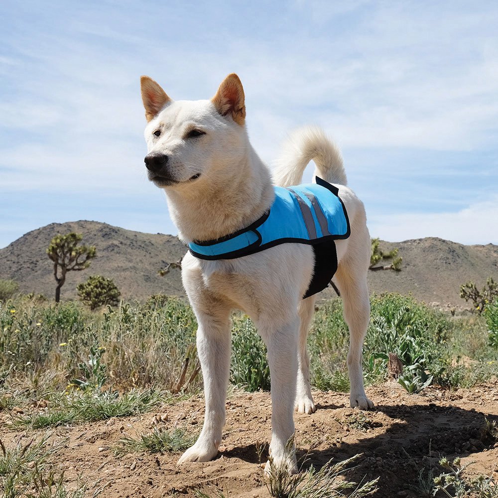 Zippy Paws Cooling Vest Blue