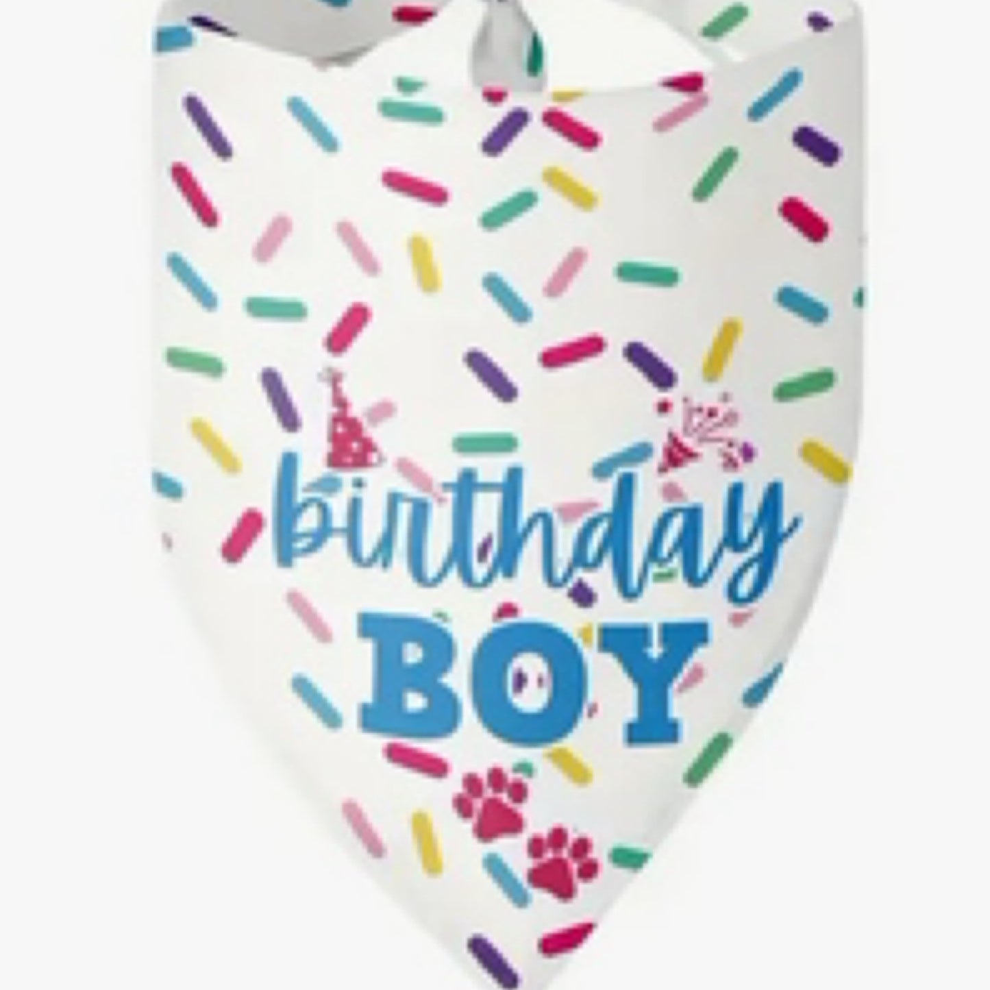 Birthday Boy Sprinkle Bandana