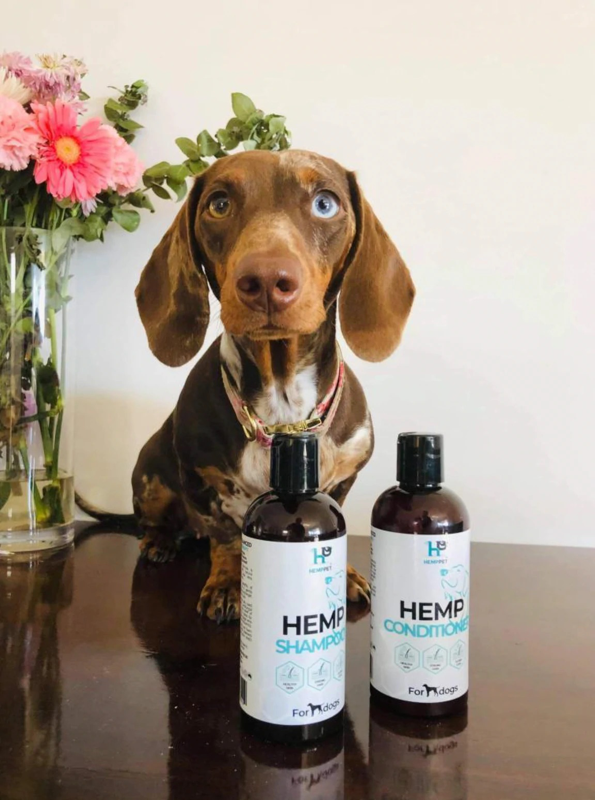 HempPet Conditioner for Dogs