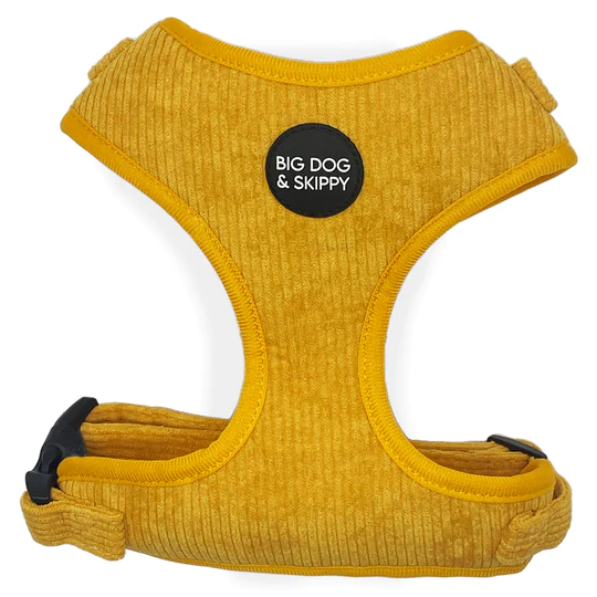Big Dog & Skippy Corduroy Harness Mango