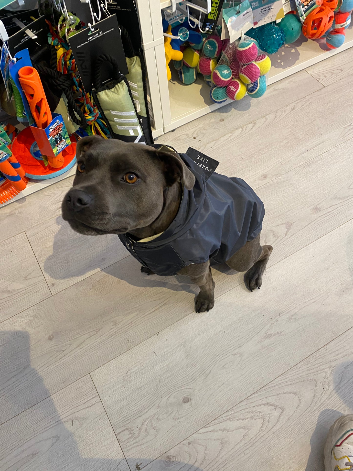 Fuzzyard Life Raincoat Slate Grey