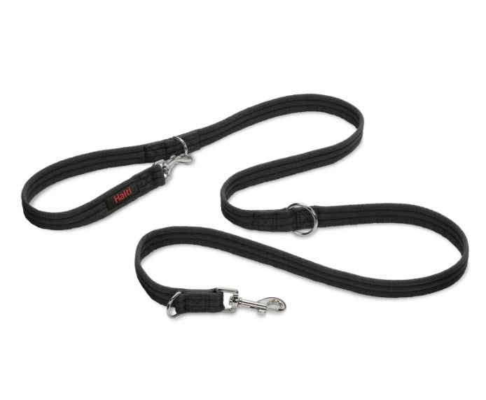 Company Of Animal Halti Training Lead