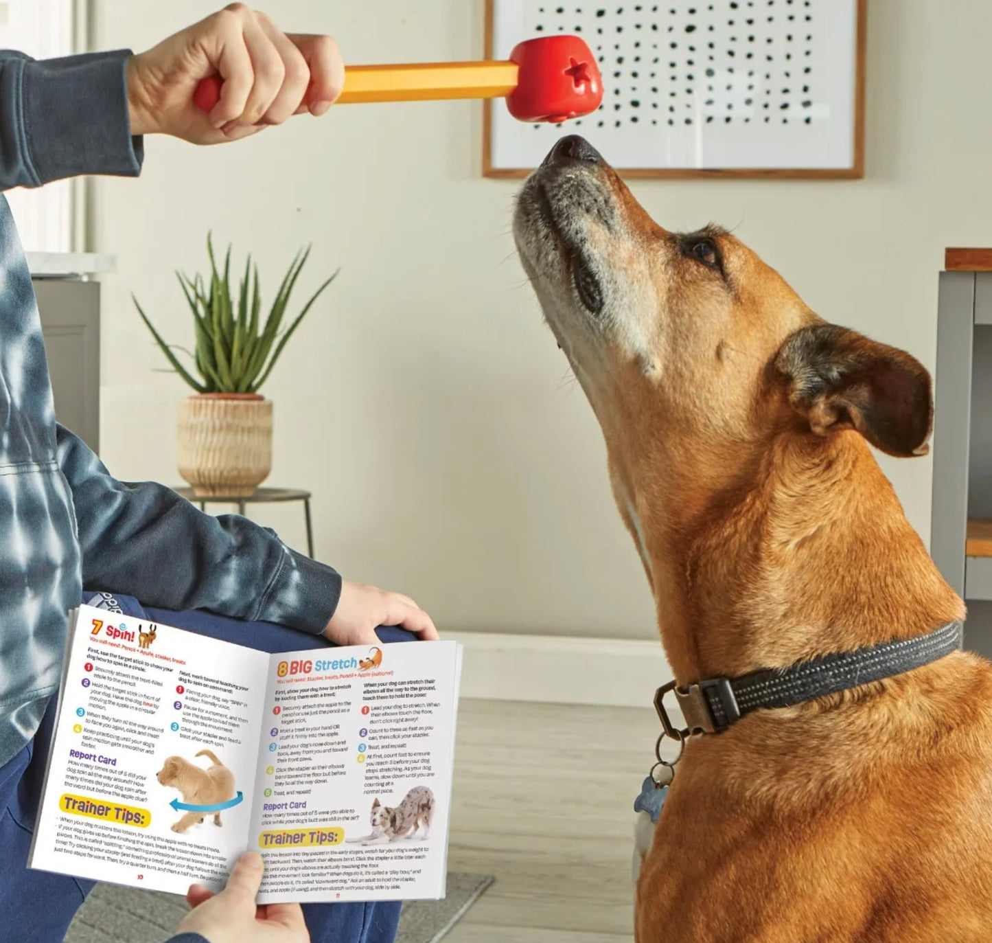 Brightkins Pooch School Training Set