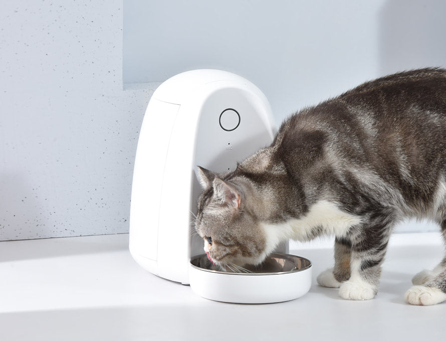 Dogness Mini 2L Feeder - White