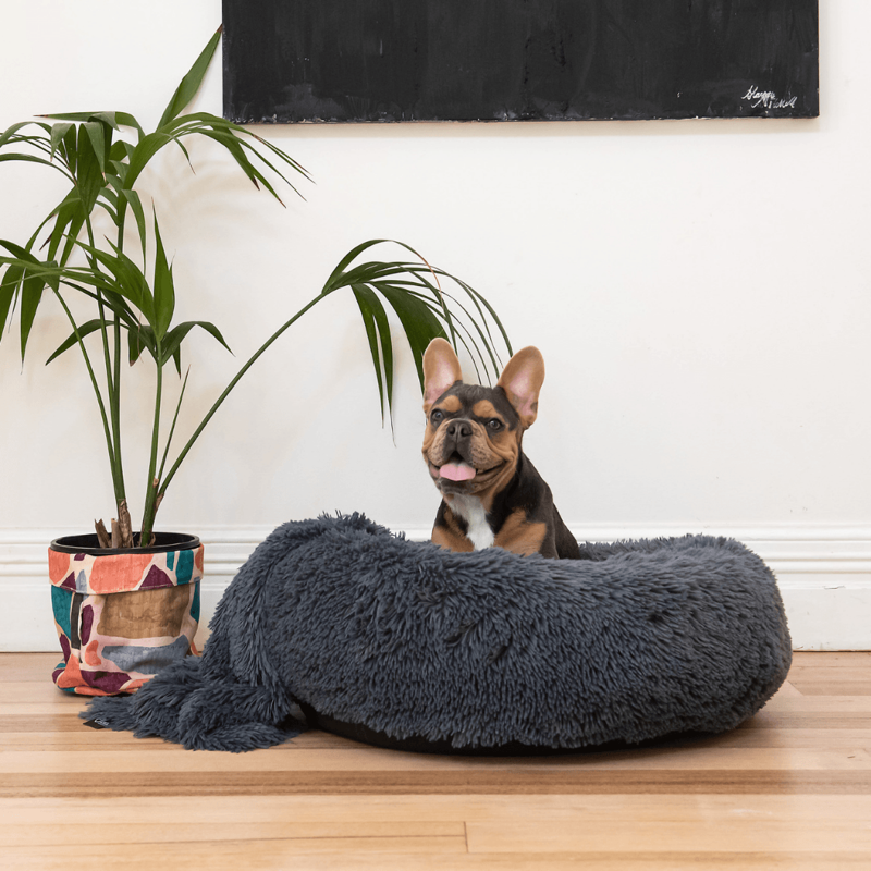 Superior Pets Curl Up Calming Tranquil Grey