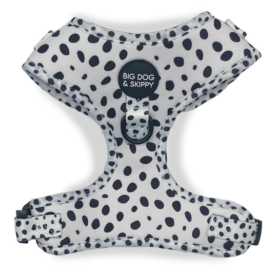 Big Dog & Skippy Neoprene Harness Lots Of Spots