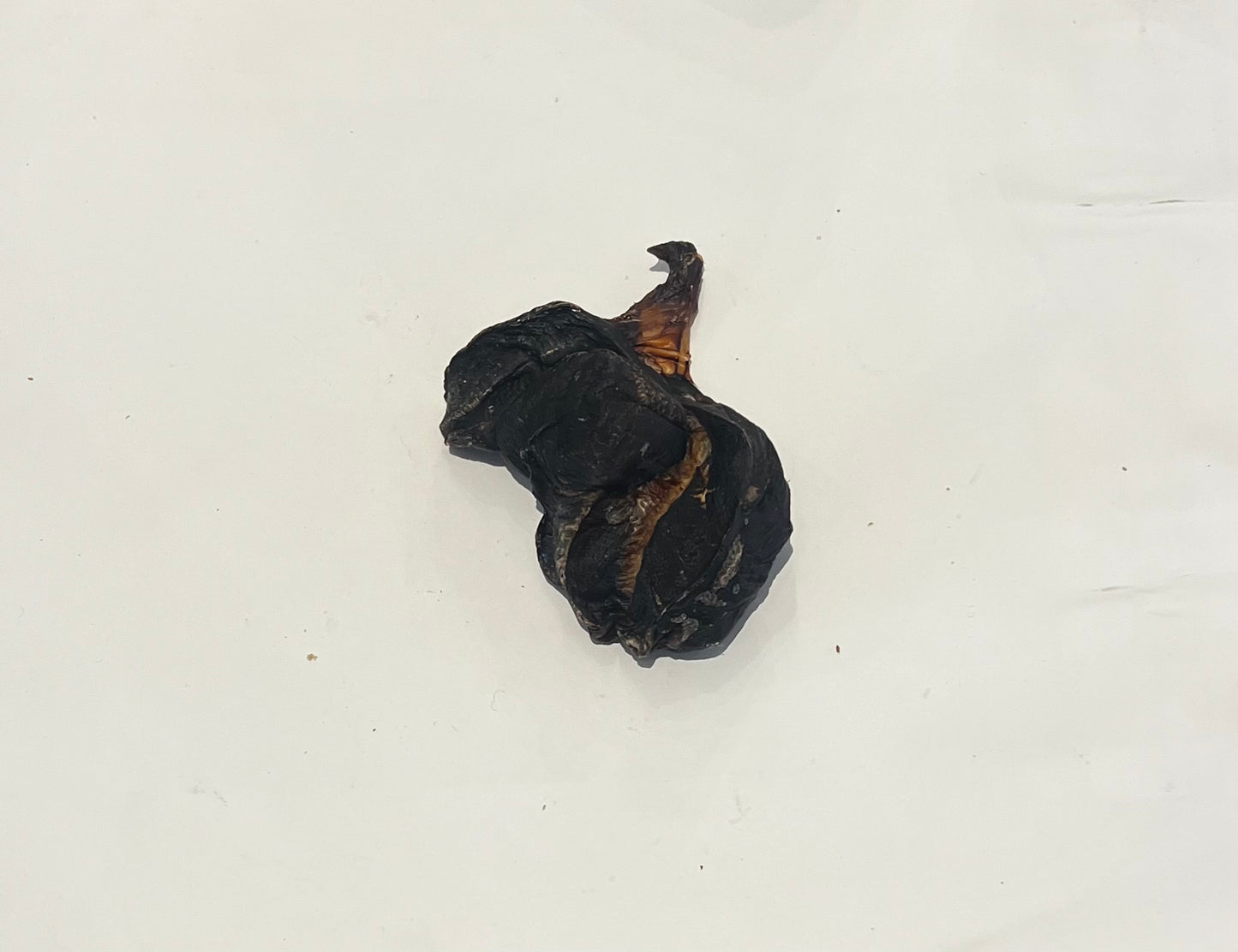 Roo Tendon Chunk
