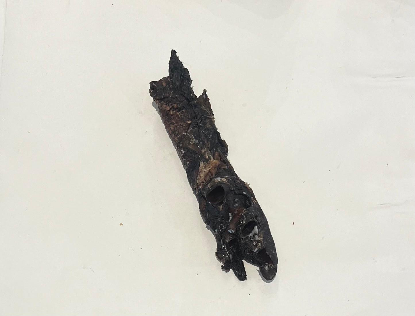 Roo Trachea Chew