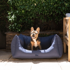 Superior Pets High Side Hideout Ortho Dog Bed Ripstop Bondi Blue