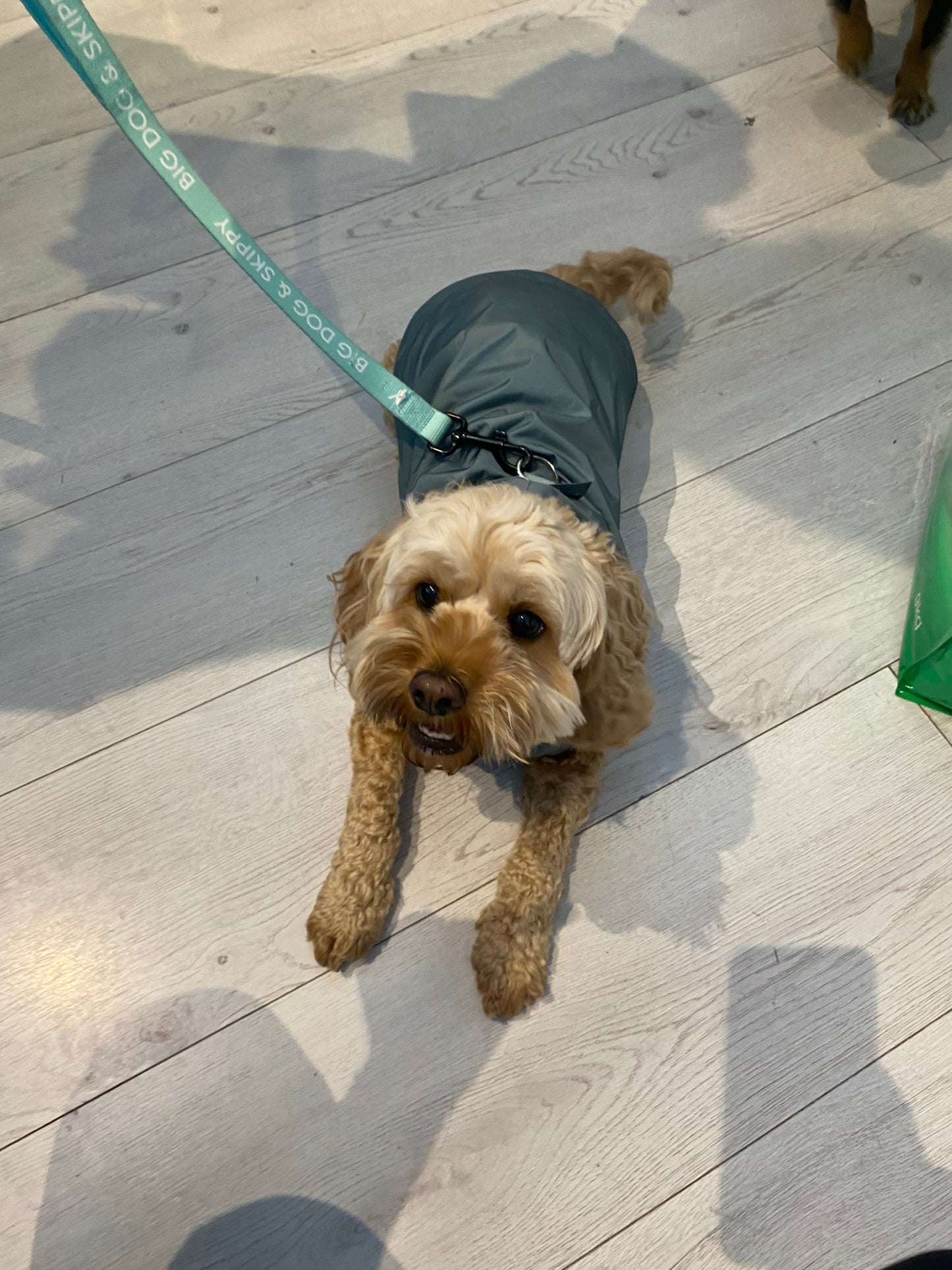 Fuzzyard Life Raincoat Myrtle Green