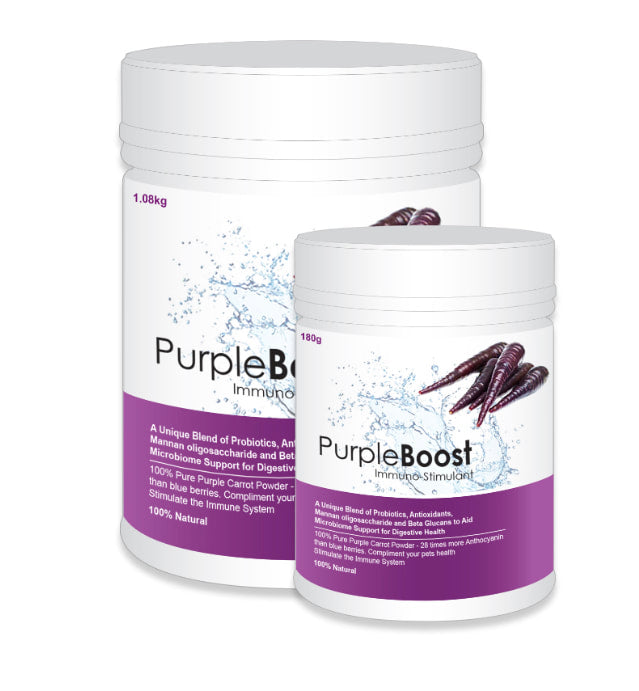 Lifewise Purple Boost