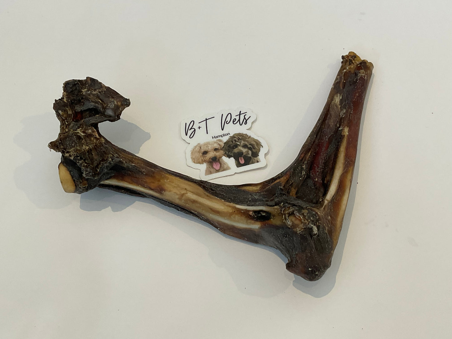Roo Shoulder Bone
