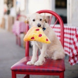 ZippyPaws Squeakie Emojiz Pizza Slice Dog Toy