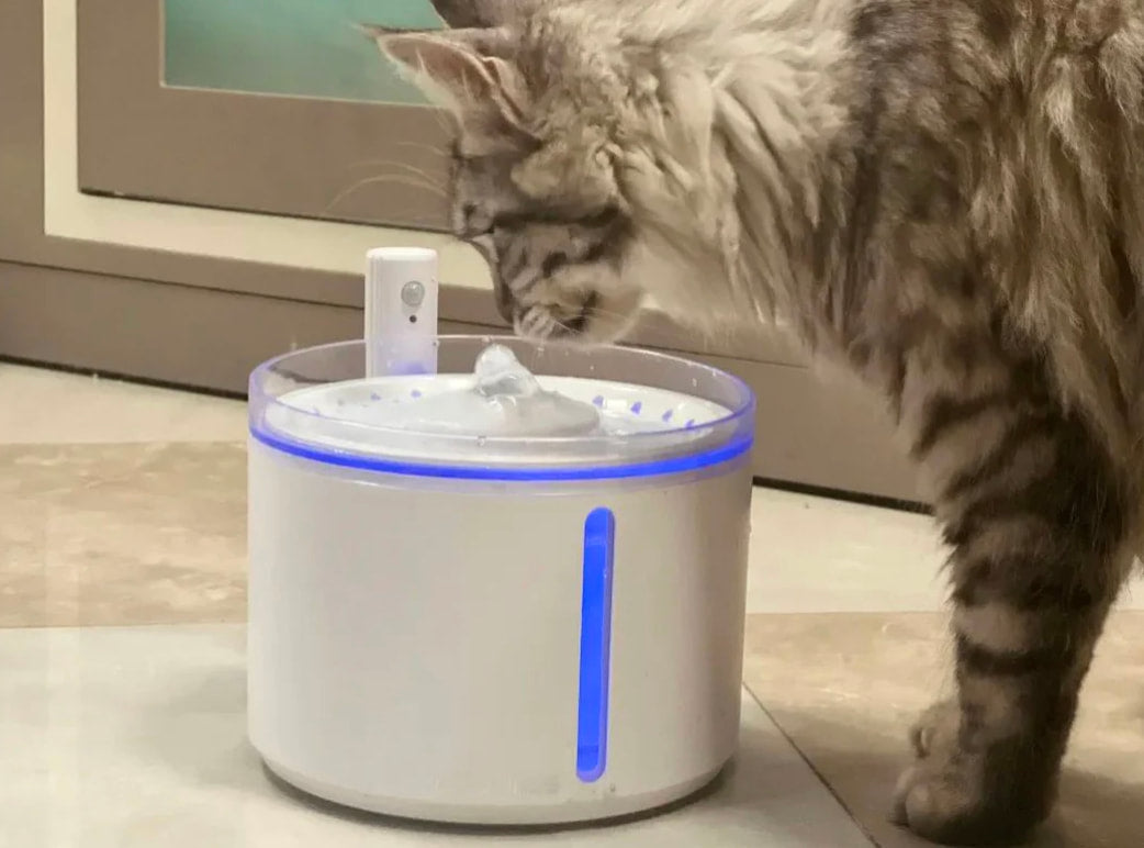 Dogness D08 Smart Sensor Portable Water Fountain - White 2.2l