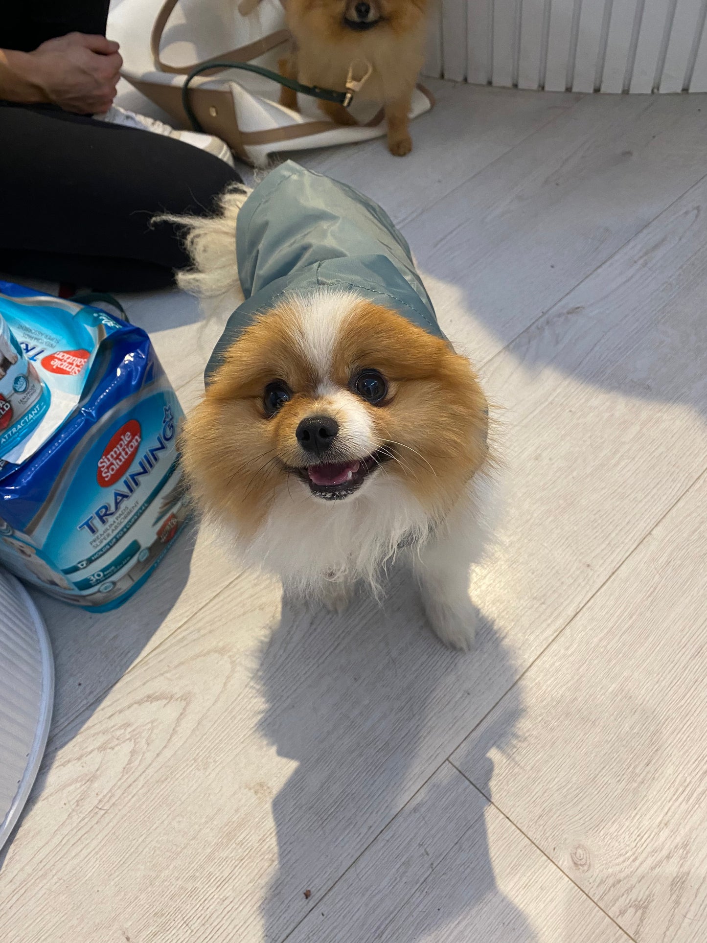 Fuzzyard Life Raincoat Myrtle Green
