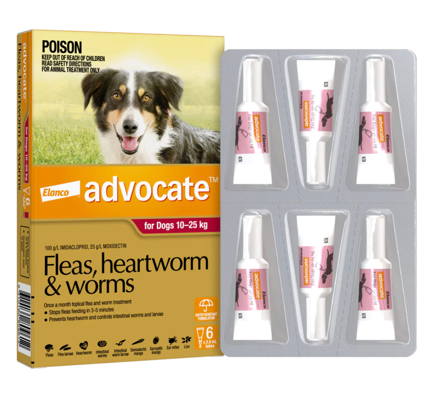 Advocate for Dogs - 10-25kg (6)