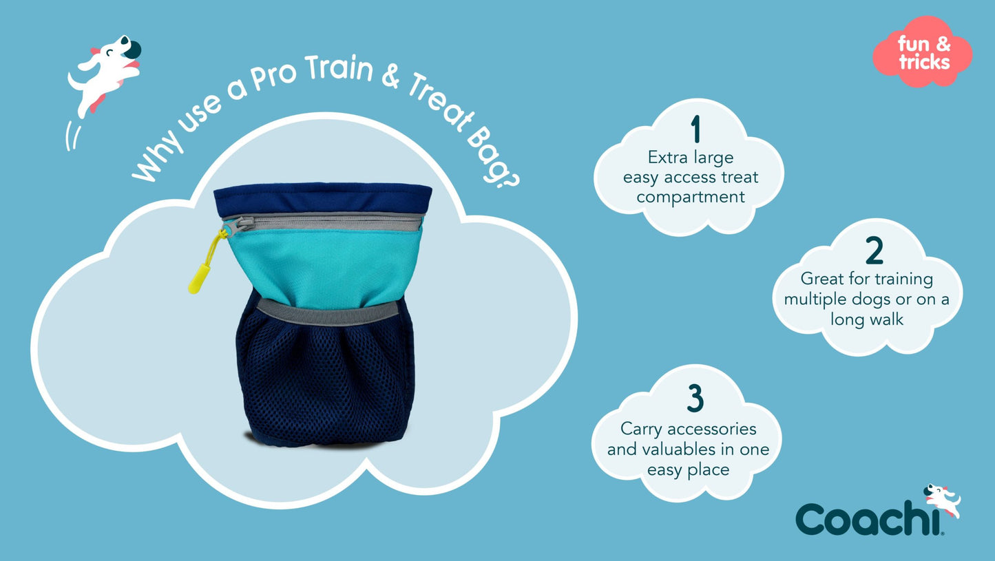 Coachi Pro Train And Treat Bag