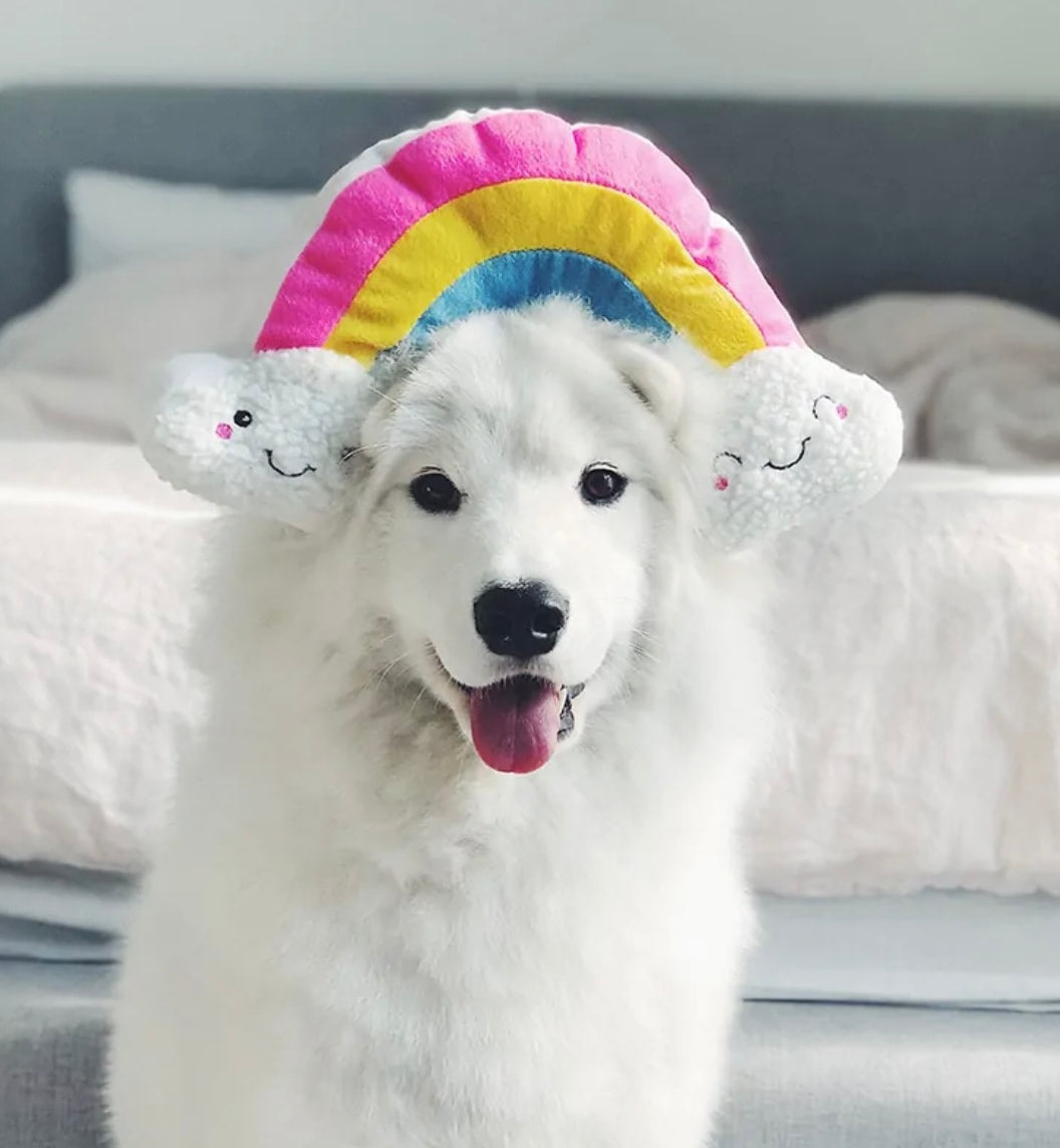 Zippy Paws Squeakie Pattiez Rainbow