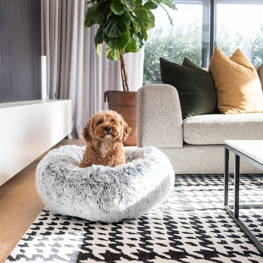 Superior Pets Curl Up Cloud Calming Dog Bed Dove Grey