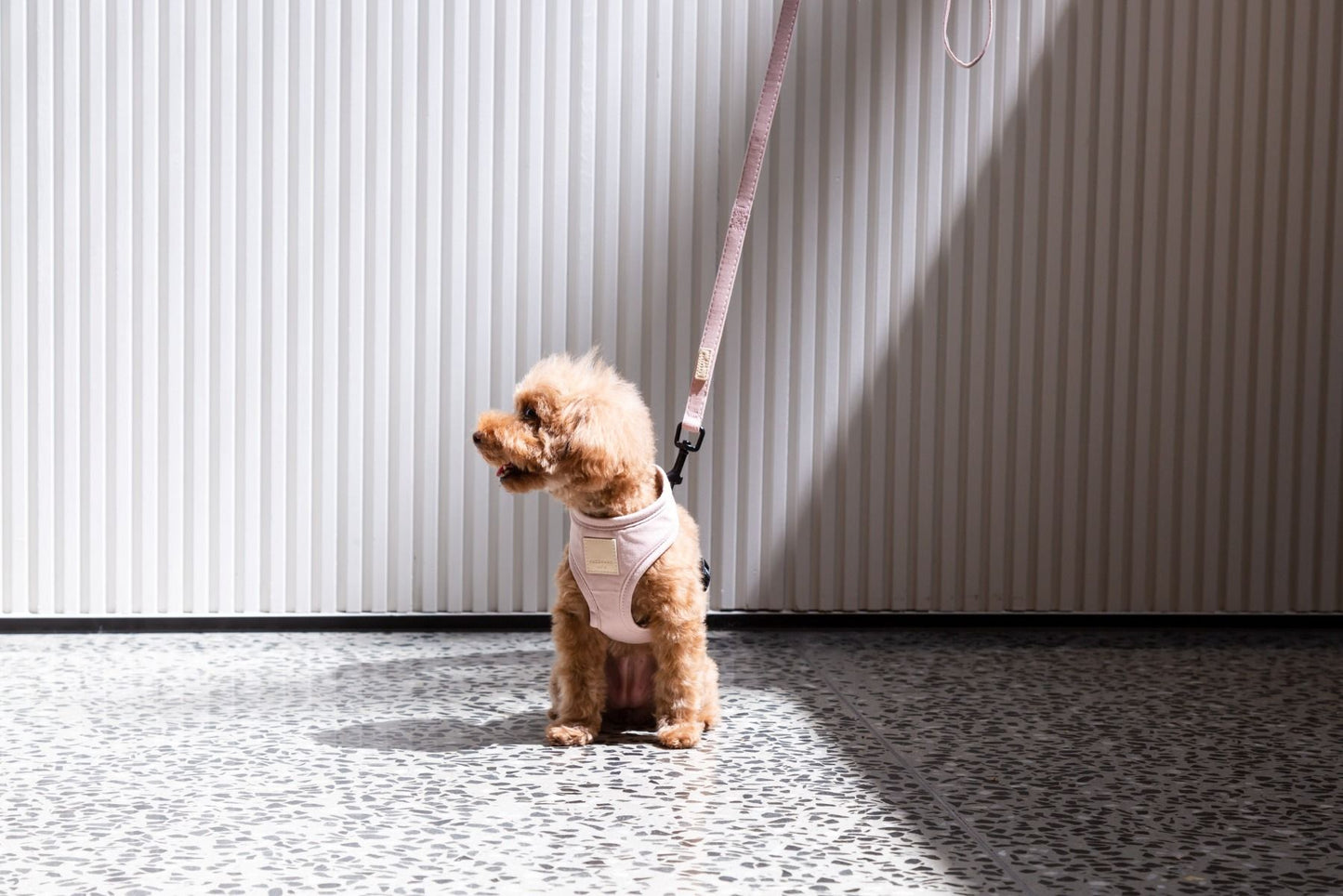 Fuzzyard Life Harness Soft Blush