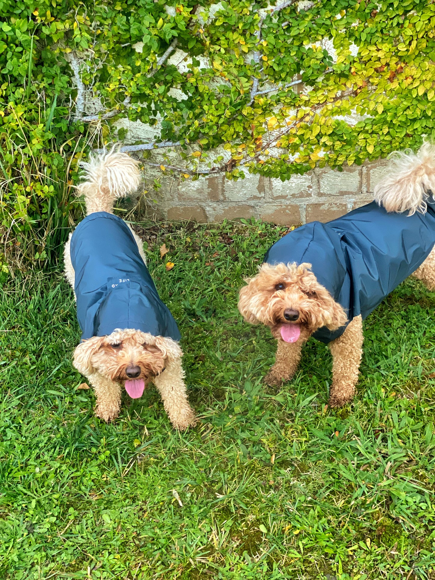 Fuzzyard Life Raincoat Slate Grey