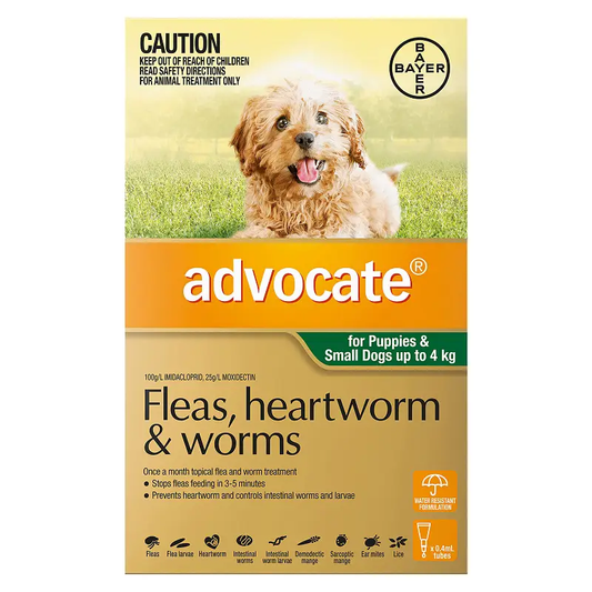 Advocate for Dogs - under 4kg (3)