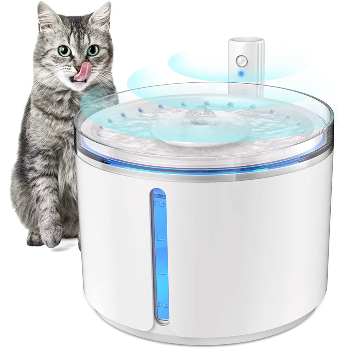 Dogness smart fountain sale