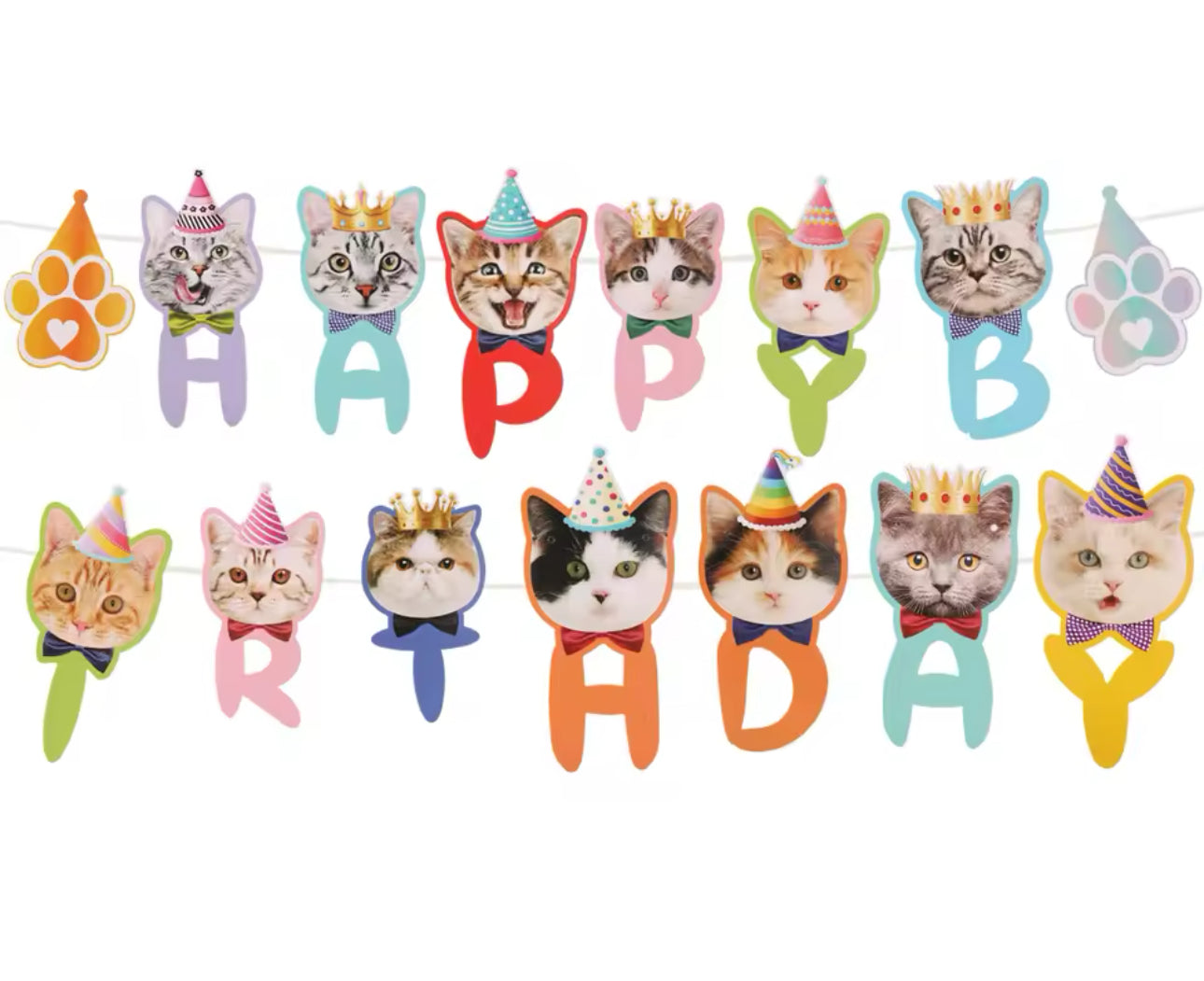 Happy Birthday Banner Cat