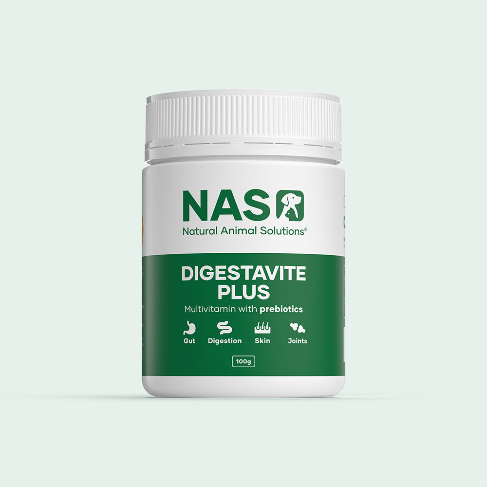 Natural Animal Solutions Digestavite Plus Powder Supplement for Cats & Dogs 100g