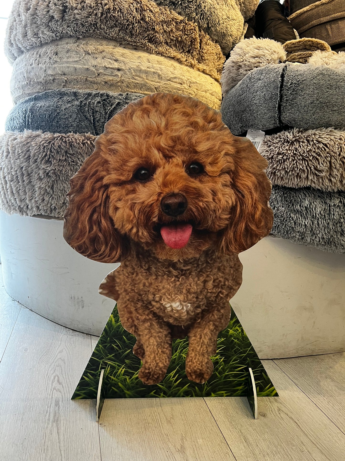 Custom Cardboard Pet Cutout