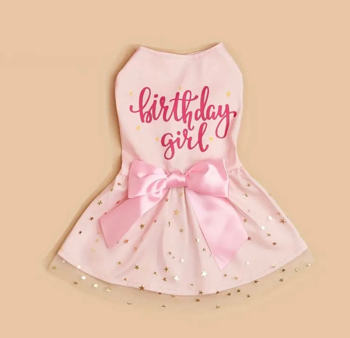 Birthday Girl Dress Pink