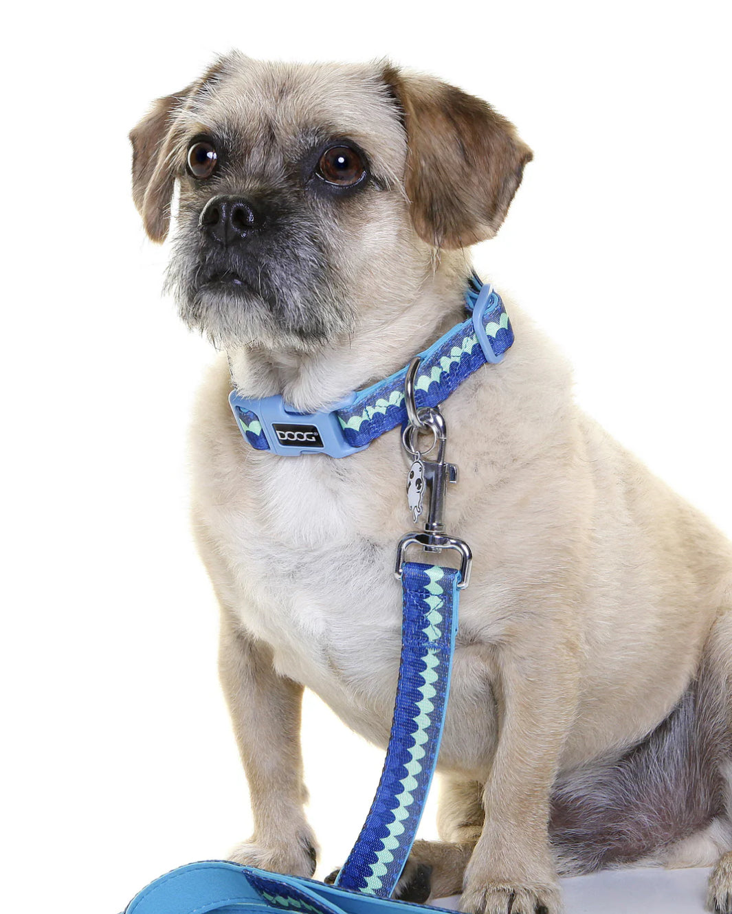 DOOG Neoprene Dog Collar PLUTO