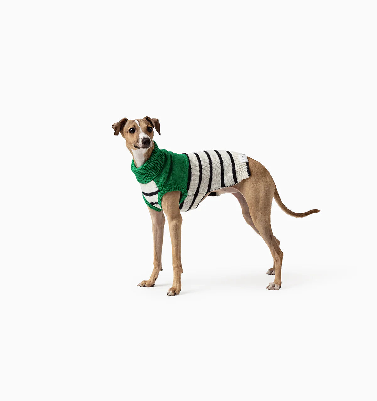 Mister Woof Knit Green