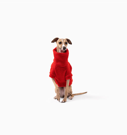 Mister Woof Teddy Jumper Ruby