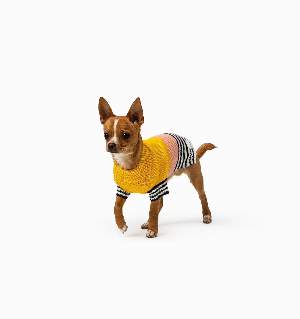 Mister Woof Knit Jumper Yellow + Pink