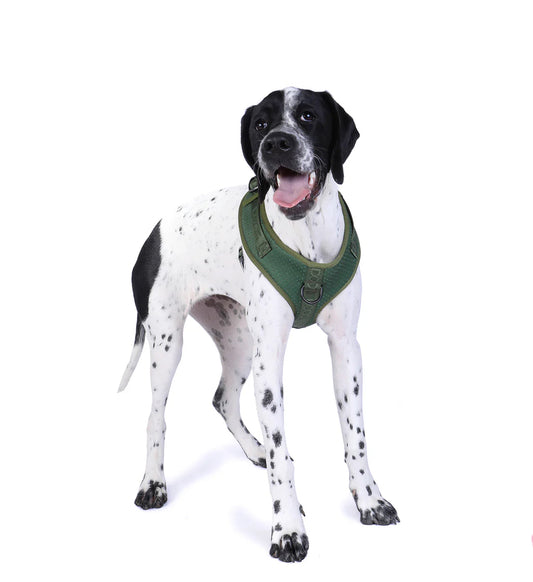 Doog Neosport Harness GREEN