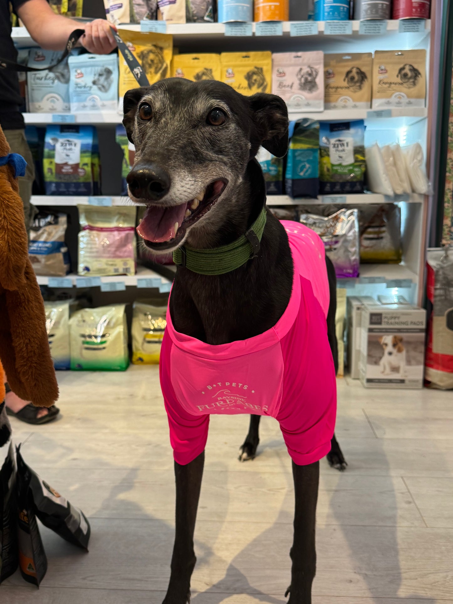 B+T Pets Bayside Furbabes Rashie - Pink