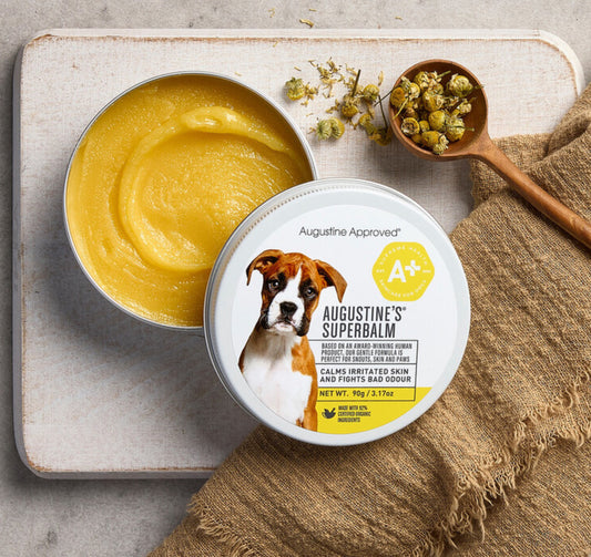 Augustine's Approved SuperBalm Skin Care for Dogs 25g