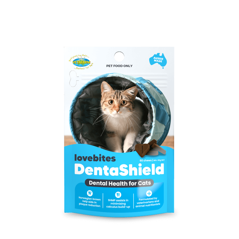 Vetafarm Lovebites Dentashield Dental Health for Cats 60 Pack