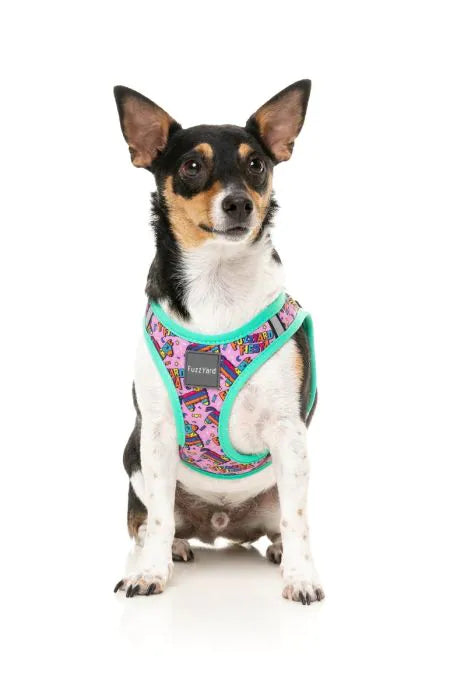 B+T Pets Fashion - Denim Cowboy Vest