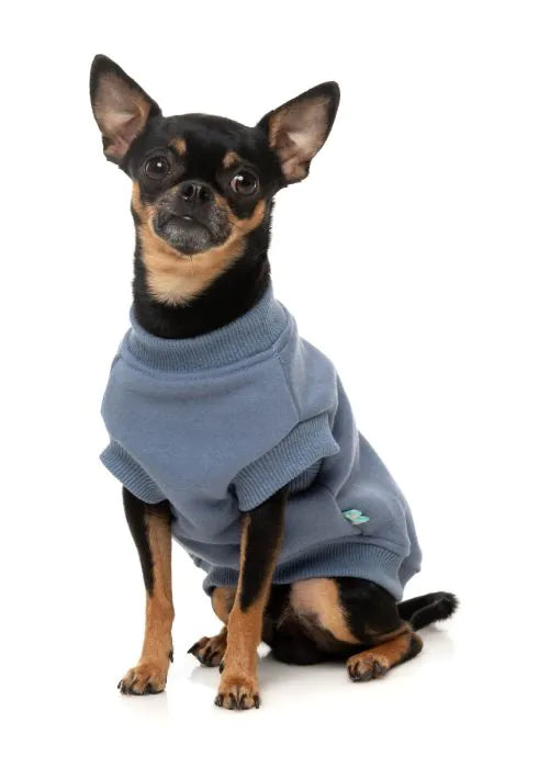 FuzzYard Allday 25 Sweater BLUE